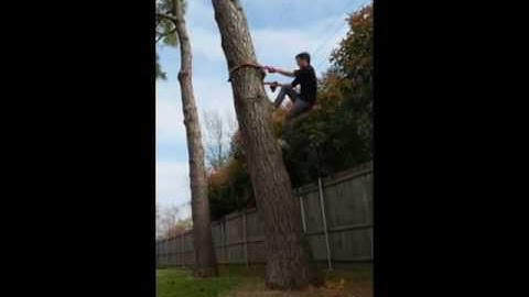 Climbing a Tree Mulan Style #mulanchallenge