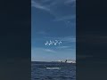 وليه انا ده يبقي حالي عمرو دياب وليه انا ده يبقي حالي عمرو دياب