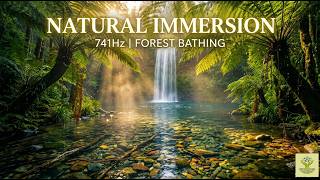 741Hz Forest Bathing: Deep Nature Immersion for Mental Clarity 🌿 screenshot 2