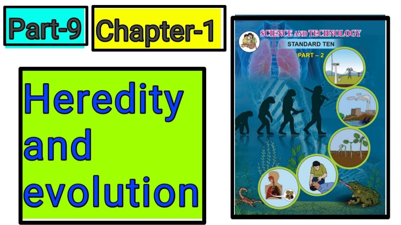 Heredity and evolution (अनुवांशिकता और उत्क्रांति) science class 10th new syllabus part-9