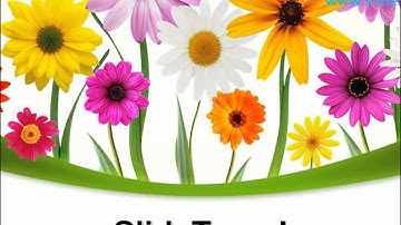 Summer Daisies Beauty PowerPoint Templates Themes And Backgrounds ppt themes