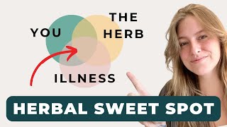 The BEST Herbs For Your Body Type | Herbalism 101 Part 4 by Herbalist Kristen 811 views 8 months ago 12 minutes, 8 seconds