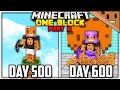 I Spent 600 Days in ONE BLOCK Minecraft... Here's What Happened