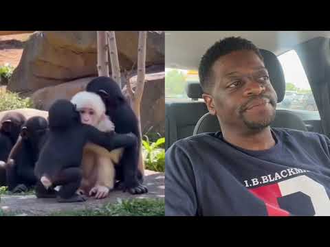 Shuler King - We Can Learn Something From Animals
