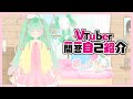 【自己紹介】VTuber Q&A Self Introduction! 「by Cherrynnチェリンー」
