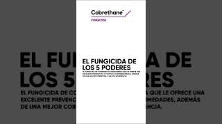 Protege tus cultivos con Cobrethane™