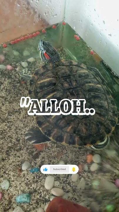 May Allah repay your kindness #quotes #motivation #prayer