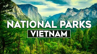 Top 10 Most Beautiful National Parks in Vietnam - Travel Video 2024 screenshot 1