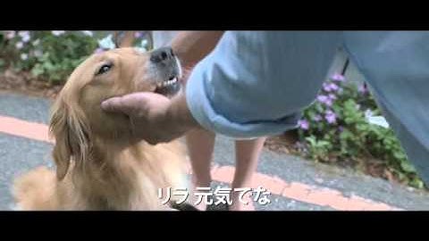 『一分間だけ』予告編