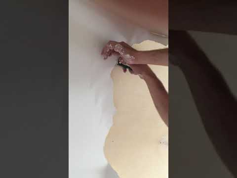 PeterThePainter Removal - video from PeterThePainter