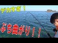 磯でアオリイカとかキジハタとか緑色の魚とか大量に釣れて凄かった！