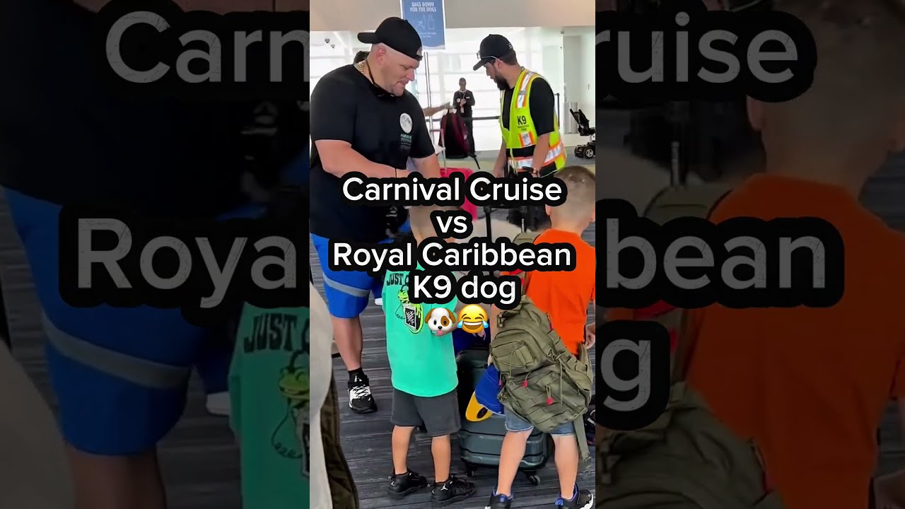Carnival Cruise K9 Dog VS Royal Caribbean Icon of the Seas Rover #shorts