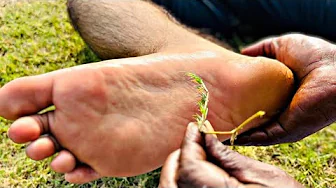 ASMR SATISFYING FOOT PRESSURE POINT MASSAGE | LEG MASSAGE FOR RELAXATION ASMR | FEET ASMR TINGLES