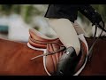 Confident~Equestrian Music Video (THANK YOU for over 100k views!)