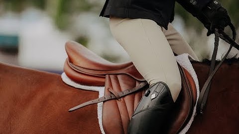 Confident~Equestrian Music Video (THANK YOU for over 100k views!)