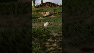 Easter Hunt! - Blender Animation