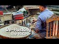 Dehusking the rice grains in the traditional village method