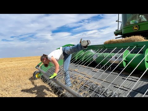 Video: Toidud, mida Montanas proovida