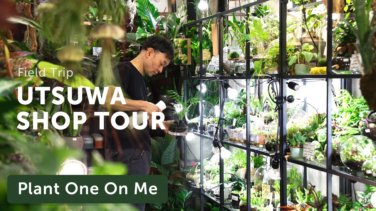 UTSUWA Botanical Design Shop Tour — Ep. 427