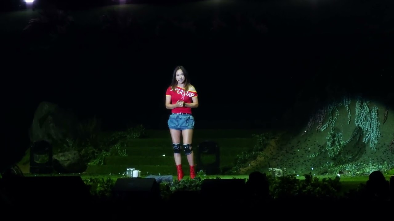 [4k] 240615 악동뮤지션 10주년 콘서트 LOVE Guest 이효리 (10분 헤이걸 유고걸)