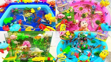 Tổng hợp video động vật dễ thương,cácloại cá,chim cánh cụt,cá heo,cá voi,cá mập,cá đuối,thằn lằn,rắn