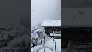 Şimdi Nerdesi̇n Sevdi̇ği̇m Güzel Ni Ye Beni Arayip Sormadin 🥺🥺