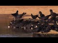 سورة يوسف بصوت الشيخ خالد تلاوه جميله جدا جدا