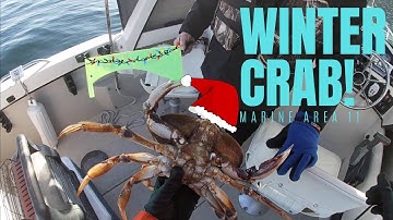Winter Crabbing Marine Area 11, Puget Sound