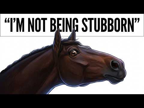 How a Horse's Mind Actually Works (You'll Never Look at Them the Same Way)