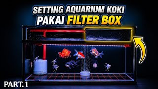 Download Lagu SETING AQUARIUM IKAN KOKI PAKAI FILTER BOX || PART.1 MP3