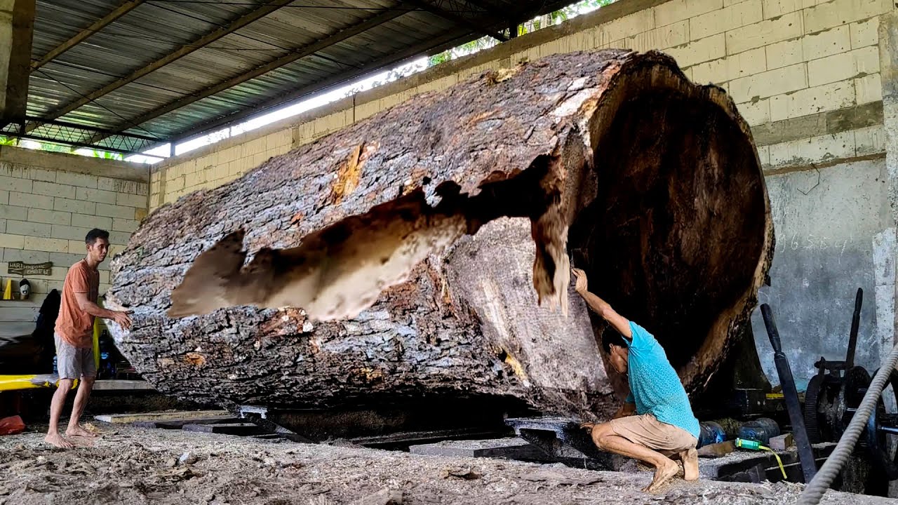 Revealing the Contents of Jumbo Trembesi Splitting Process Using a Band ...