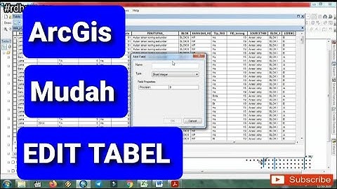 Cara Mudah Edit Data Tabel di ArcGis