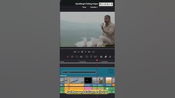 How to add Guidelines easily in Davinci Resolve