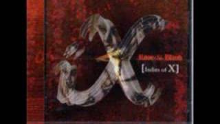 X-Japan - Dangerous Zone Rare Indies Of X