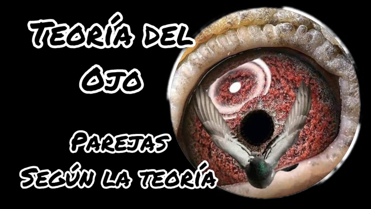 La teoría del ojo ; a prueba