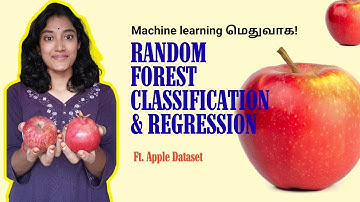 Random Forest trees என்றால் என்ன? #randomforestclassification#randomforestregression#learnintamil
