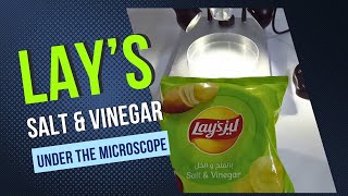 Lay's Salt and Vinegar Potato Chips Seen Under the Microscope