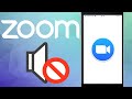 Как включить звук в Zoom на телефоне