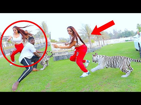 LION ATTACKED MY SISTER !!!