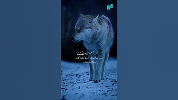 ولقد خلقنا الانسان#القرآن_الكريم #تلاوة_خاشعة #سالم_الدوسري #تلاوة_هادئة #سورة_المؤمنون