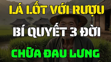 Cách Ngâm Lá Lốt Với Rượu Bí Quyết 3 Đời Chữa Đau Lưng