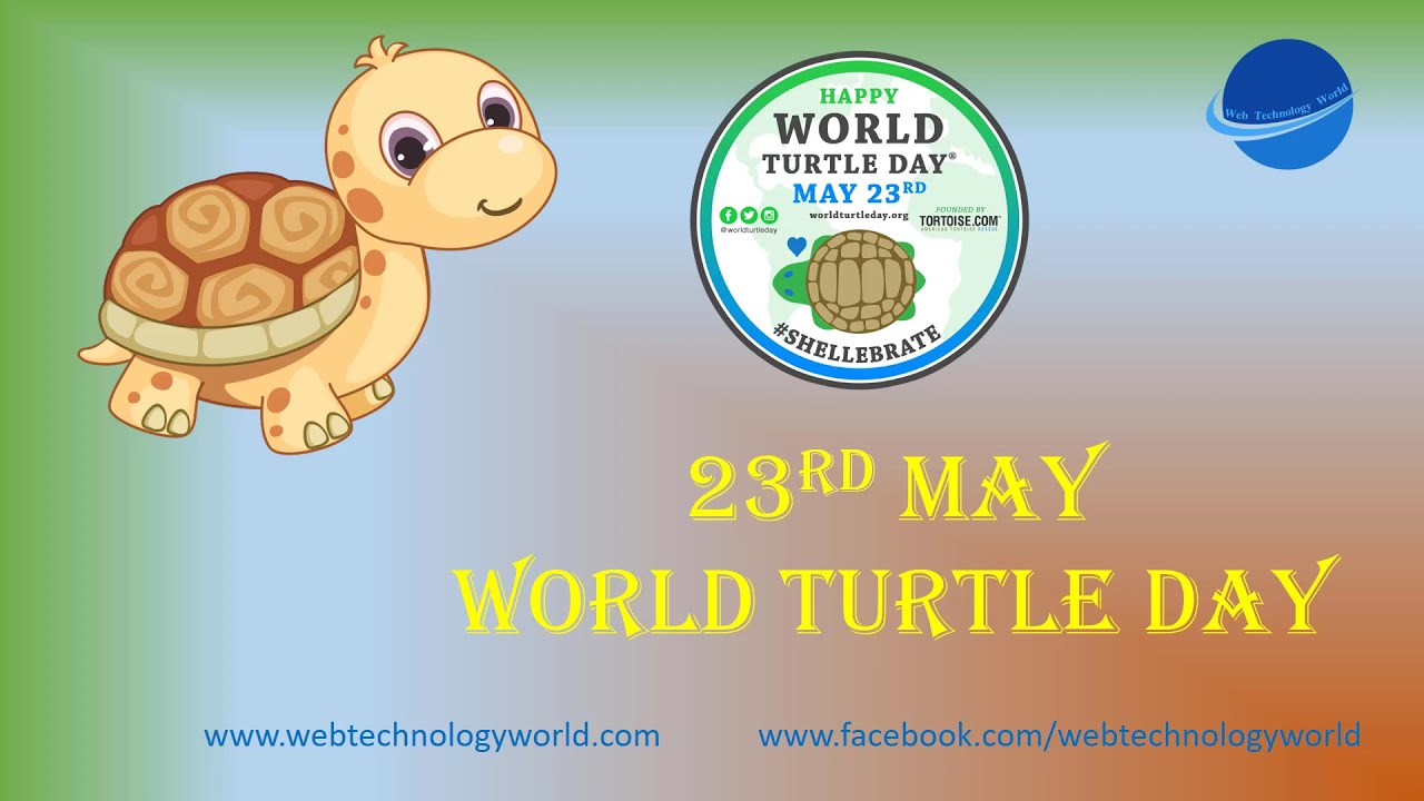 23rd May World Turtle Day Youtube