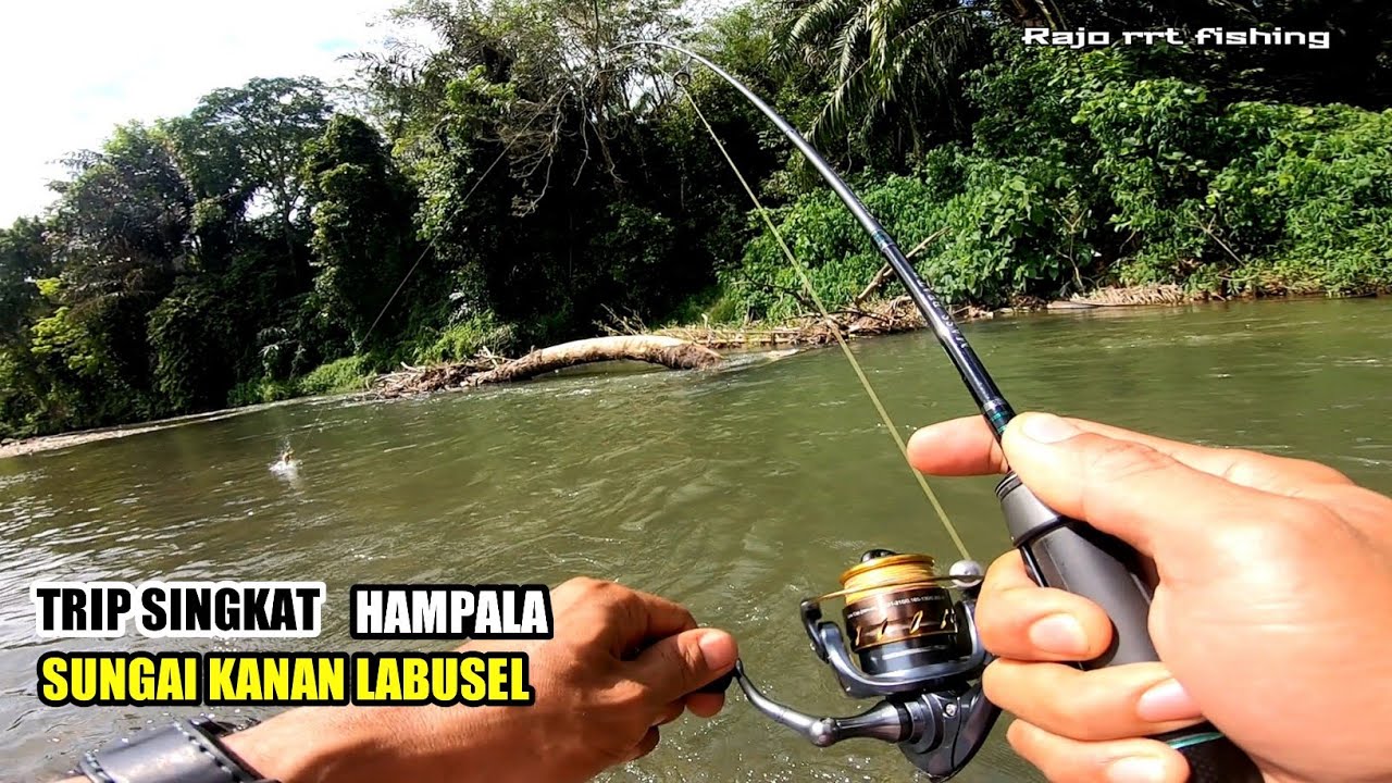 Test Reel Ryobi ultra lite 500 mancing hampala di sungai kanan labusel
