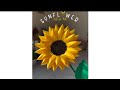 DIY Sunflower 🌻 &amp; Tulip 🌷