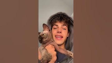 My hairless cats LEAK oil 🦠 bath time!  #kylethomas #shorts