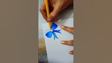 ribbon border design #borderdesign #shortsfeed