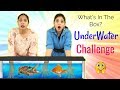 WHAT's In The BOX - UNDERWATER Challenge ft. ShyStyles | #Roleplay #Fun #Sketch #ShrutiArjunAnand