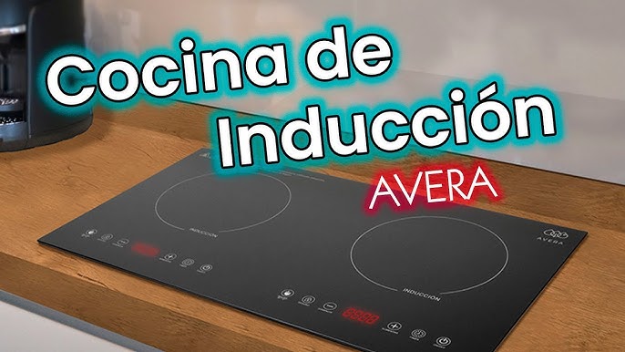 Parrilla de inducción eléctrica 1 quemador AD-1307 Adir