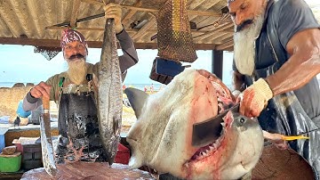 Amazing Giant Fish Cutting Skills in Beautiful Seaside Fish Market | Masters Fish Cutting Collection