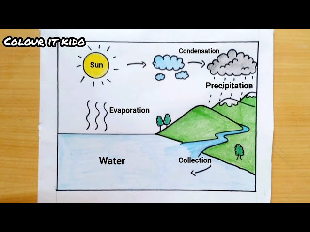 The Water Cycle | Precipitation Education